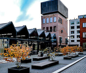 © Dietrich Kühne Parkmöglichkeiten für unsere Besucher:innen der Sheddachhalle
